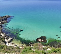 Участок в СТ «Мост»,10 соток, район горбатого моста! ЦЕНА СНИЖЕНА!