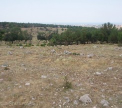 Участок на пр. Победы, ул. Генерала Рихтера