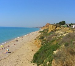 Участок в Любимовке, 10 соток