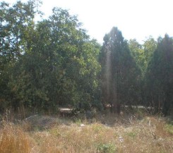 Участок на ул. Дубравная 10 сот