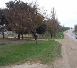 Мегашикарный участок под ИЖС на Лабораторном шоссе, 1-ая линия от дороги, 4 сотки