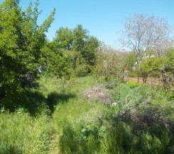 Участок в СТ «Маяк-1» на Фиоленте