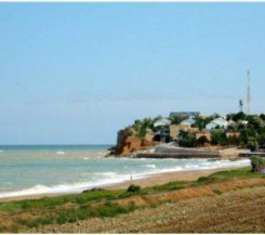 Участок 8 соток в Орловке!