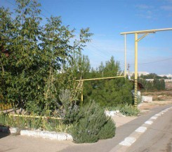 СУПЕР Участок на ул. Шукшина 7 соток!