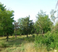 Два участка в районе Мемориального комплекса Сапун-гора (диорама) 