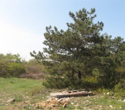 Участок по Фиолентовскому шоссе, 7 соток